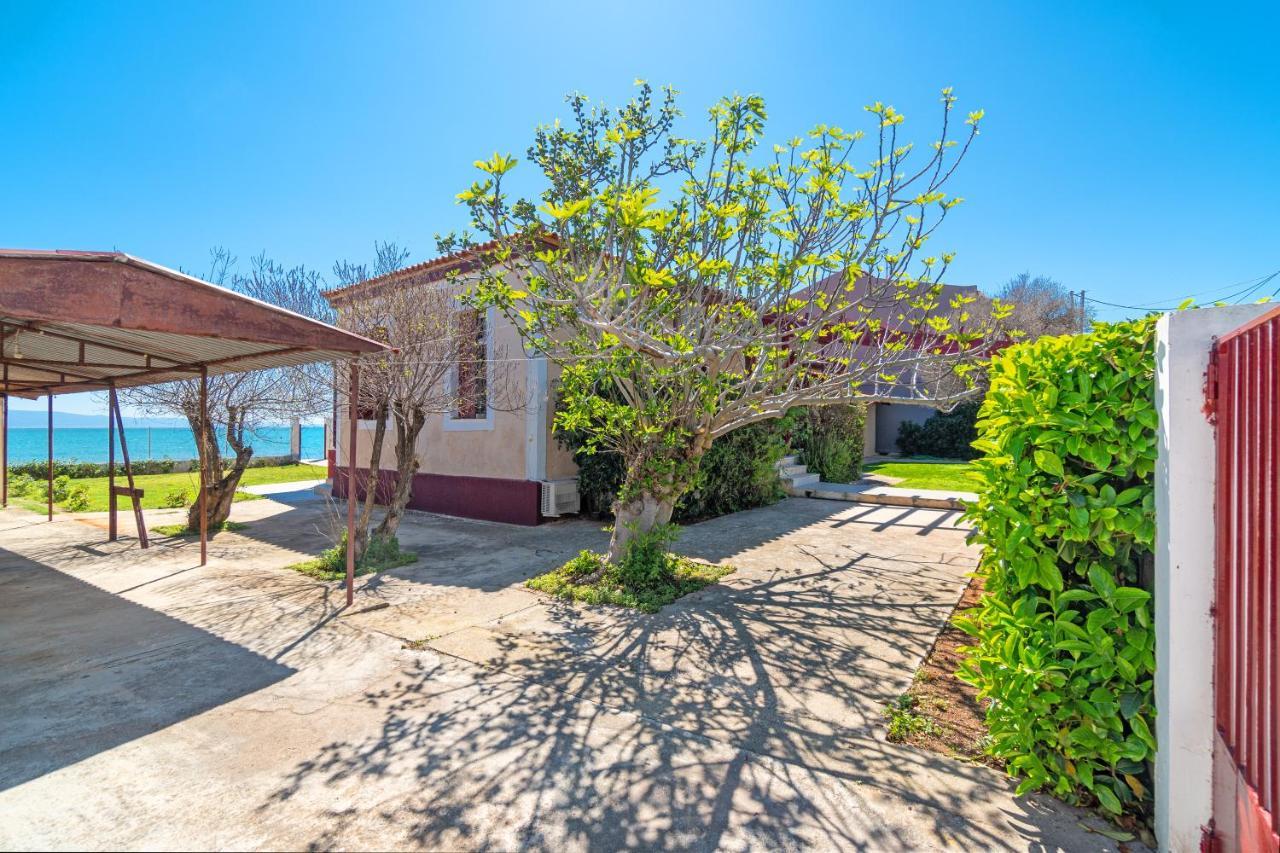 Villa Angelos Νεράντζα Εξωτερικό φωτογραφία